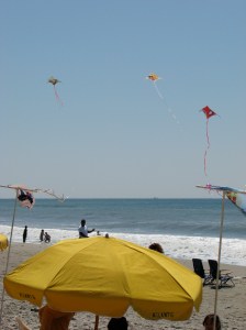 Mile of Hope Kids Kites