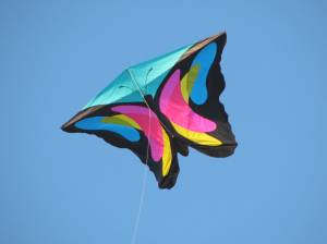 Joel Scholz Butterfly