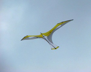 Laima by Flying Wings