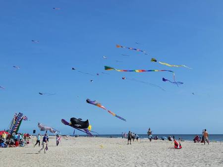 12122445_1048985955114690_3182613205919090776_n