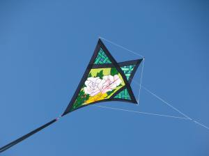 Willi Koch Mesh Diamond by Premier