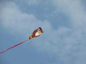 Owl Kritter by Skydog